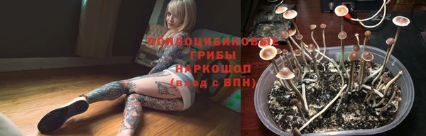 тгк Елабуга