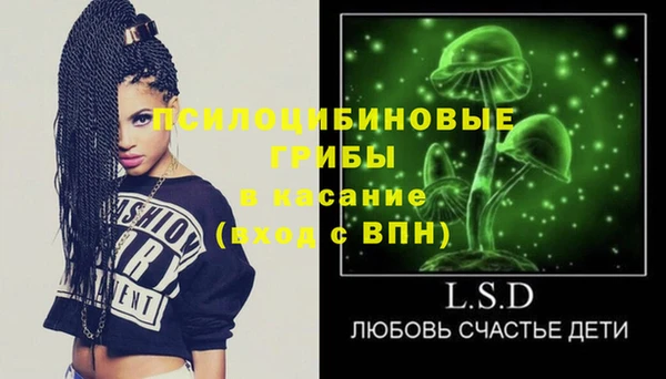 2c-b Елизово
