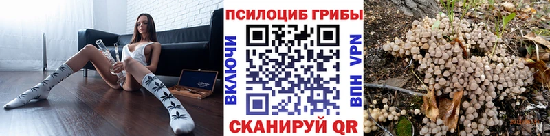 где найти наркотики Новочебоксарск Галлюциногенные грибы GOLDEN TEACHER