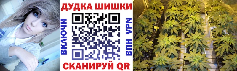 как найти закладки  Новочебоксарск  Шишки марихуана индика 